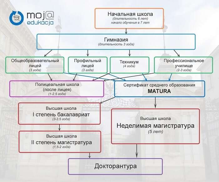 Система образования в Польше