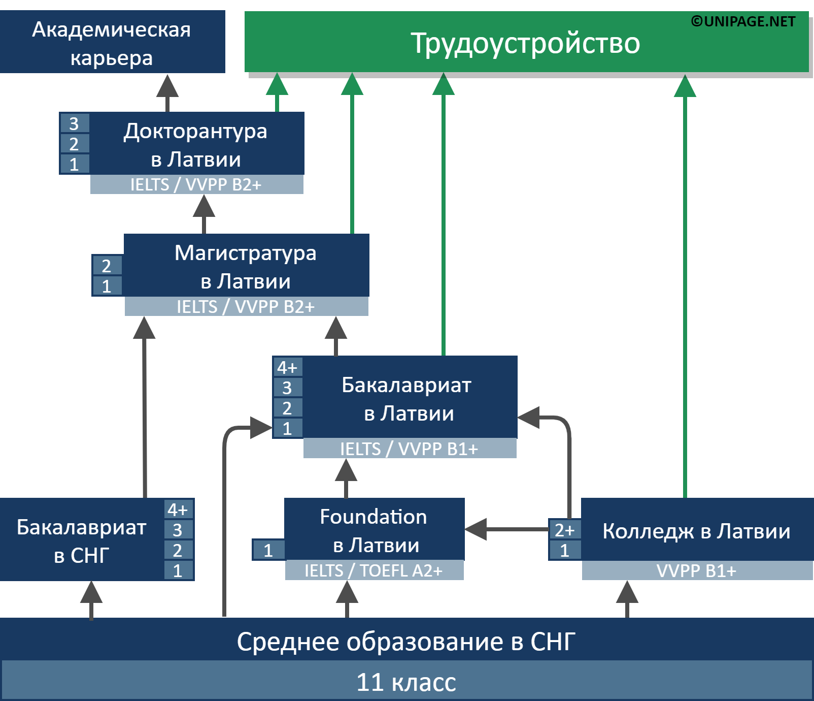 Образование в Латвии