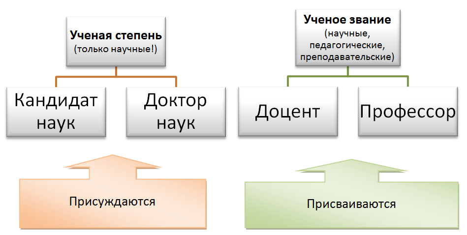 профессор и доцент кто выше